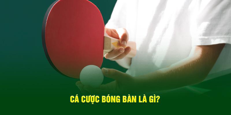 Cá cược bóng bàn trực tiếp là gì?