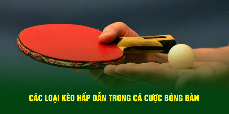 Các loại kèo cực cuốn trong cá cược bóng bàn