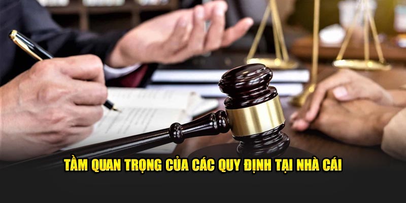 Trách nhiệm và quyền lợi cơ bản của bạn khi tham gia nhà cái